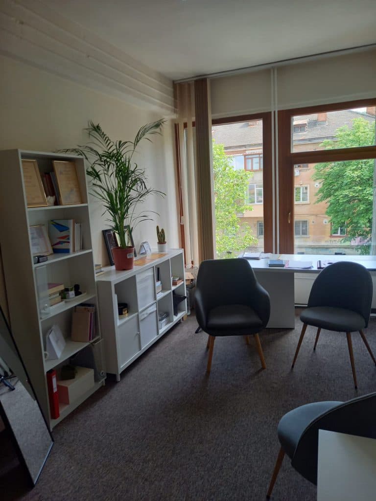 Cabinetul de psihoterapie: două fotolii, bibliotecă și o fereastră mare spre stradă